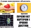 risovach.ru (10).jpg