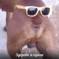Syborgy