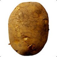 Potato