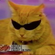 ϟϟ[CmB] MuTanT