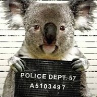 ✪KoalaWanted✪ Novux.ru
