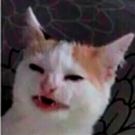 KOTE [Felix старший]