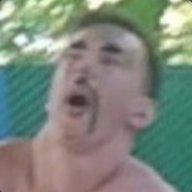 Dan