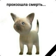 Novux произошла смерть...
