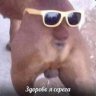 Syborgy