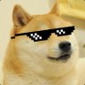◥◣ ✘》DOGE《✘◢◤