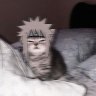 LiteK