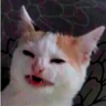 KOTE [Felix старший]
