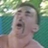 Dan