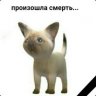 Novux произошла смерть...