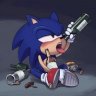 [BVU] SONIC
