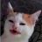 KOTE [Felix старший]