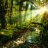 The Simple Forest :)