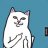 FUCKcatWAR