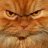 Angry cat