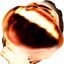 :giga: